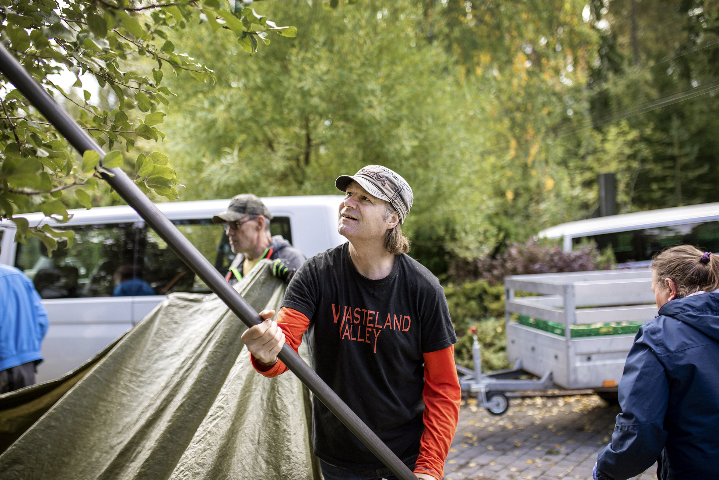 Bildet viser en mann som holder en stang for å riste ned epler. I bakgrunnen sees en annen mann som holder en presenning for å fange eplene og en hvit bil med tilhenger
