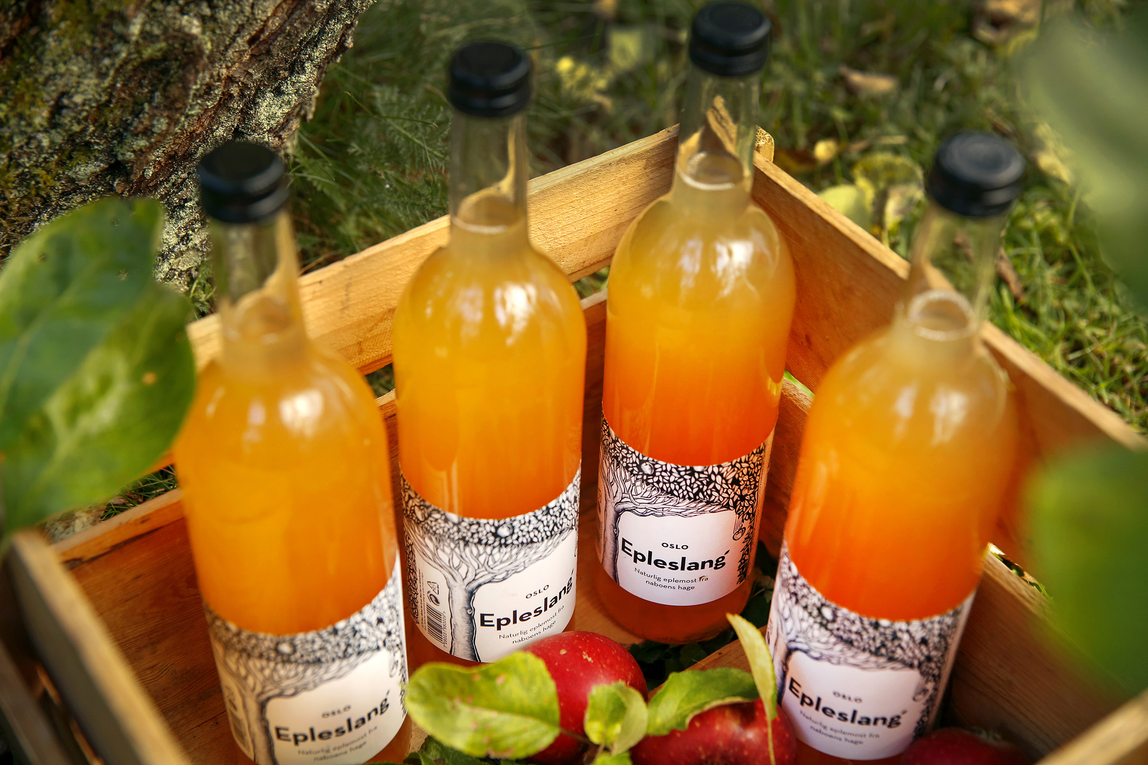 Bildet viser en trekasse som står på gress, med fire glassflasker med eplemost og noen epler oppi.  Eplemosten har en sterk, oransje farge.