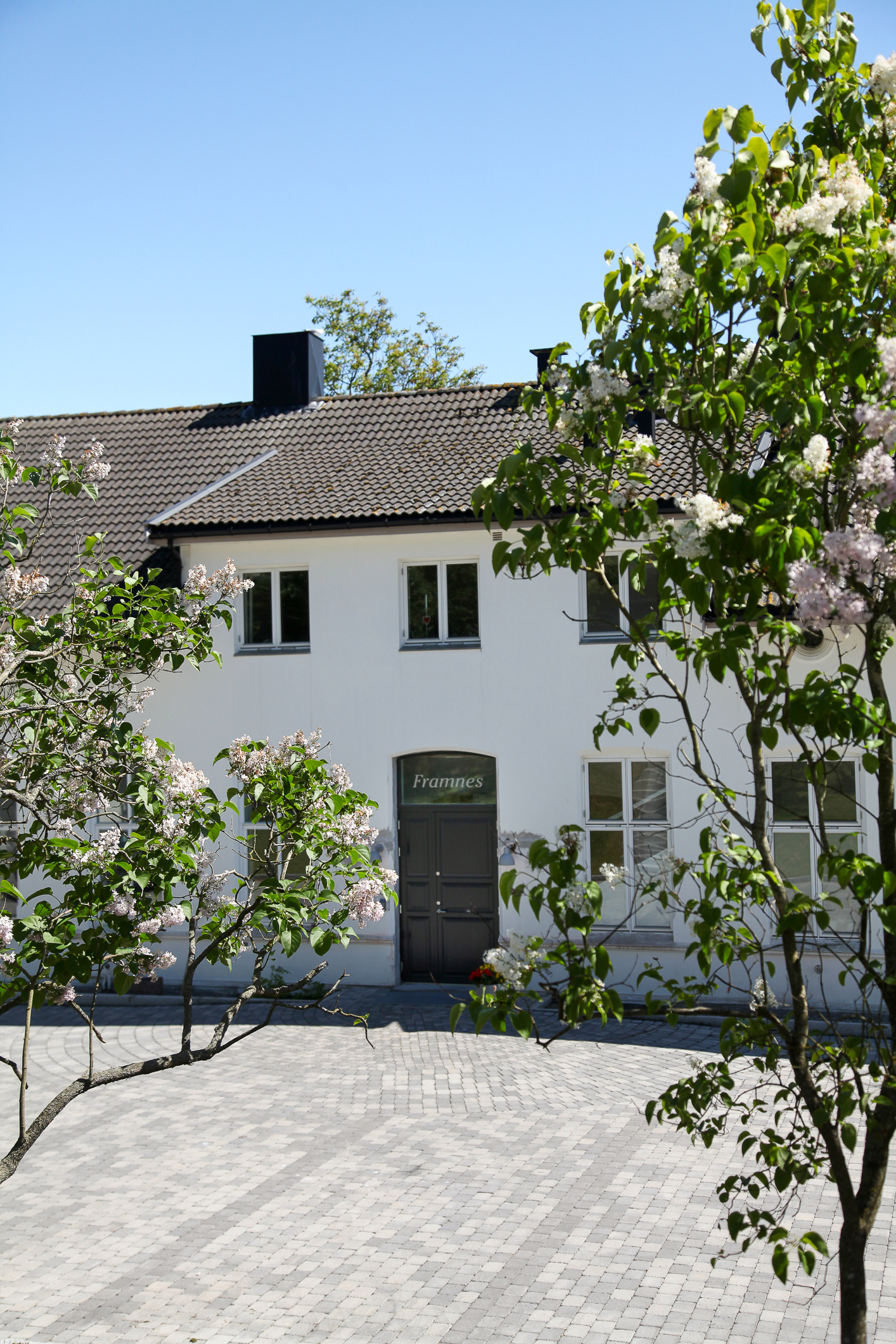 Bilde av stor, ærverdig murvilla med syriner i blomst.