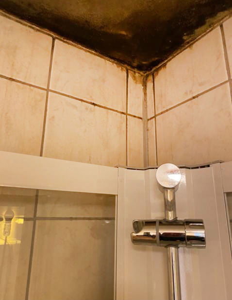 Foto: Bilde av et hjørne av et bad der dusjen står. Taket er helt mørkt av fukt og råte.