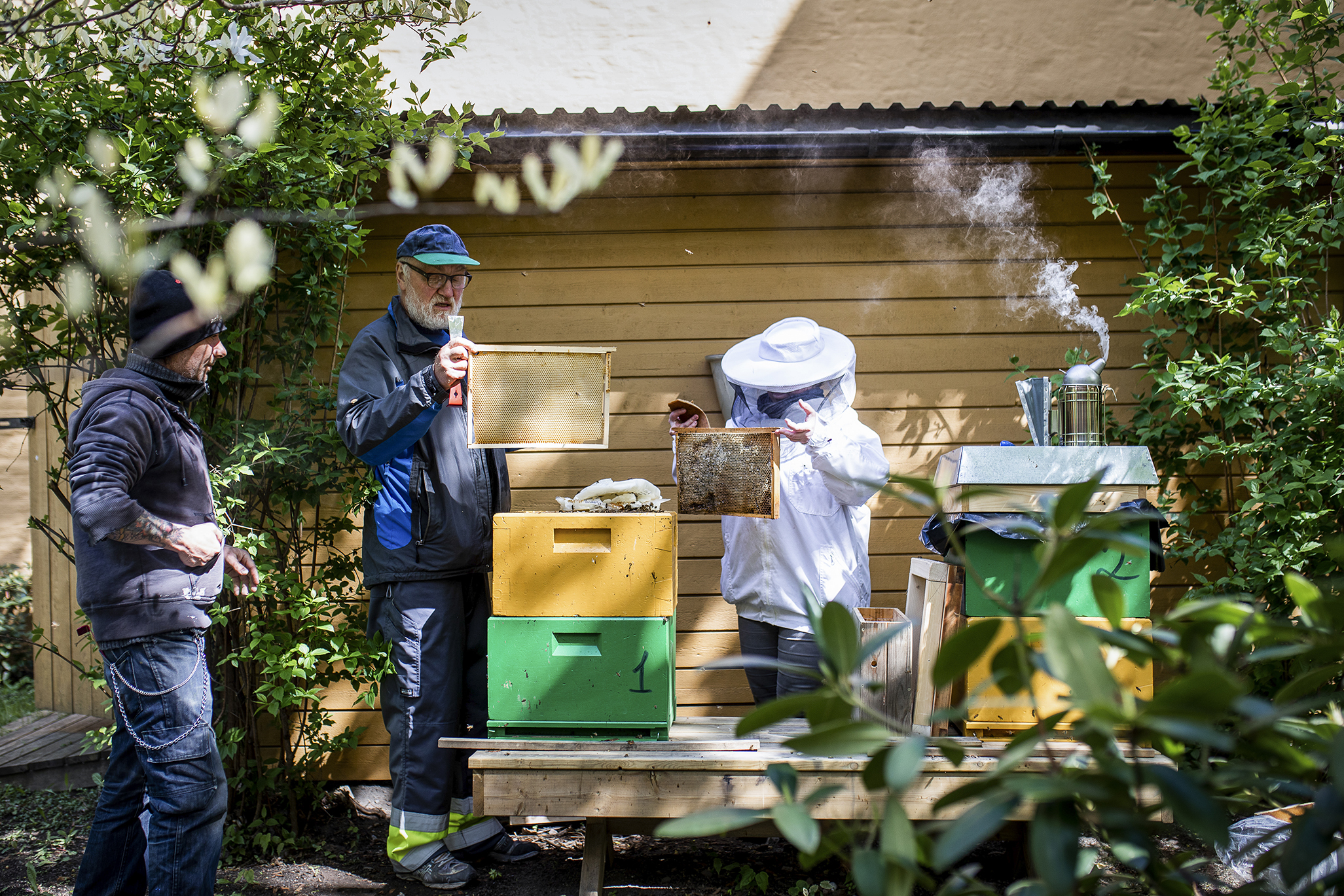 Arbeid utendørs med bikuber