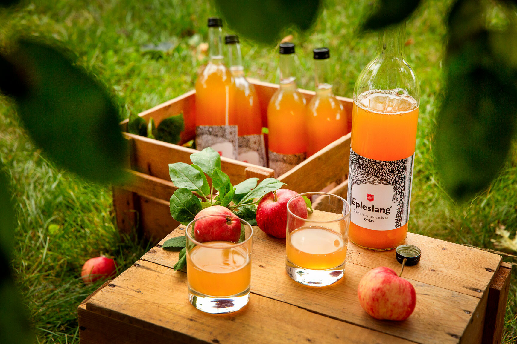 Foto: En trekasse med fire flasker med eplemost står i gresset. På bordet foran er det en åpnet flaske og to glass med eplecider i.