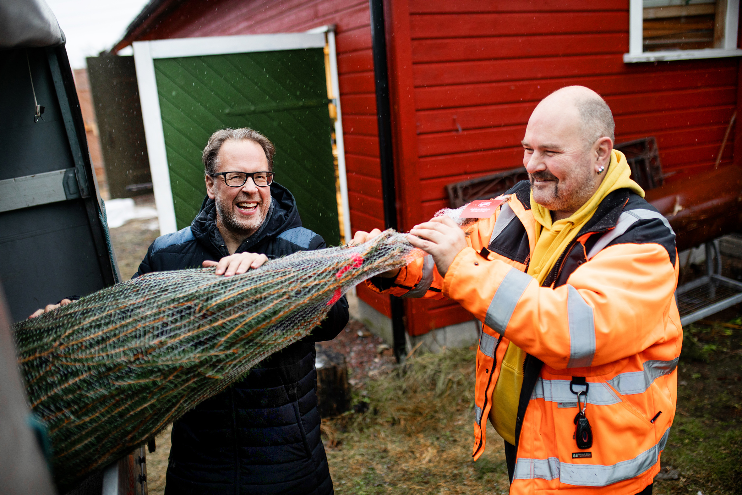 Morten, en deltaker på Jobben pakker et juletre i netting.