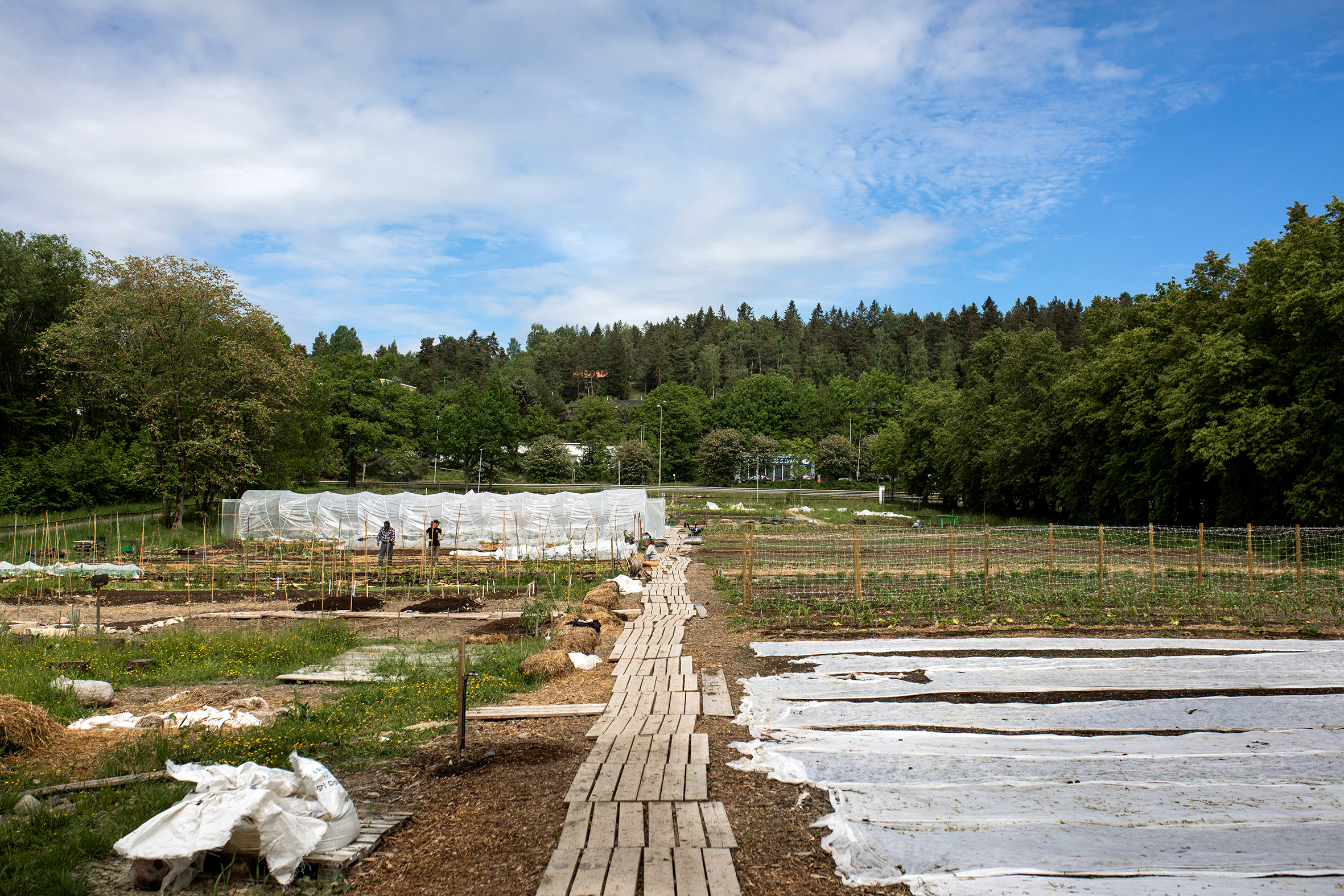 Herskapelig hovedhus og drivhus, og dyrkede jordlapper på Linderud gård