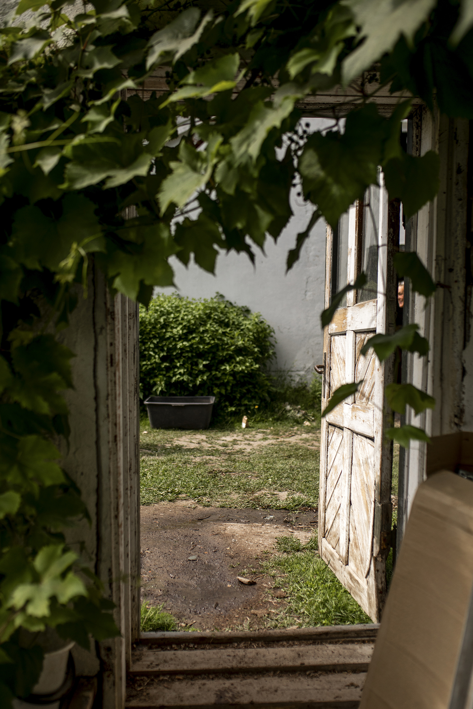 Gamle drivhus av steinmur og nye vinduer gir de beste vekstvilkår og er nydelig å se på