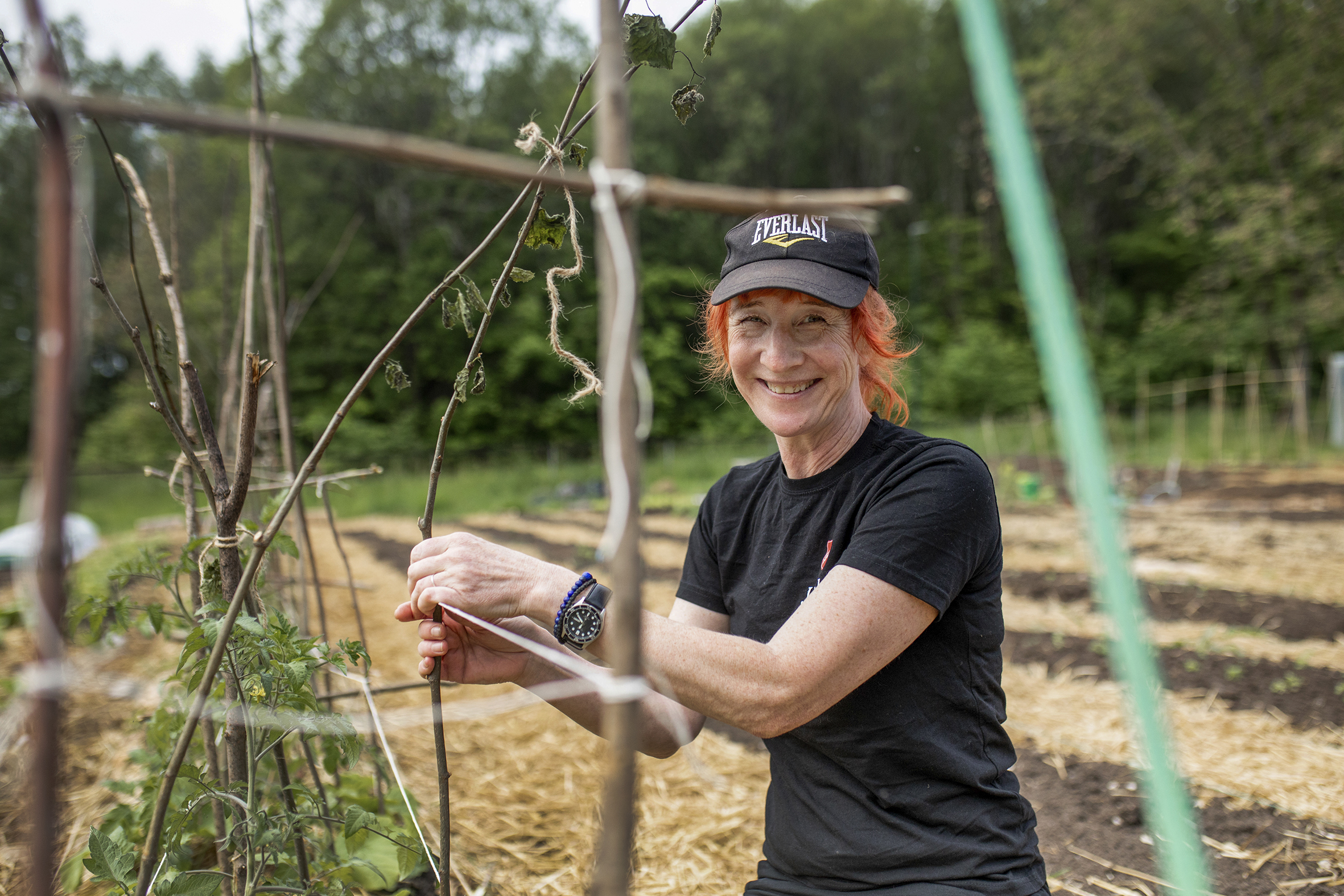 Det jobbes med å gi tomatplantene de beste forhold