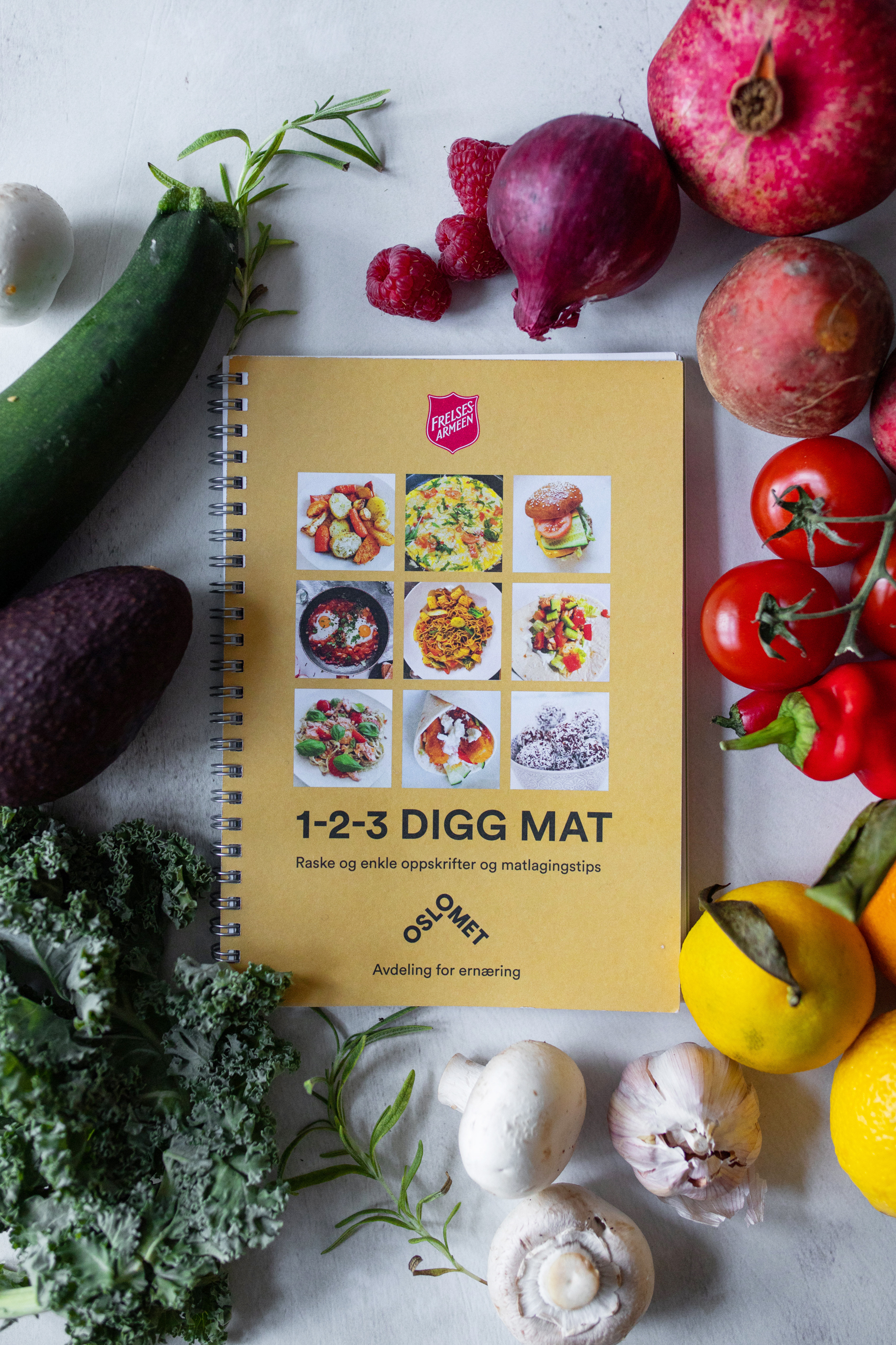 Oppskriftsboka 1-2-3 Digg mat!