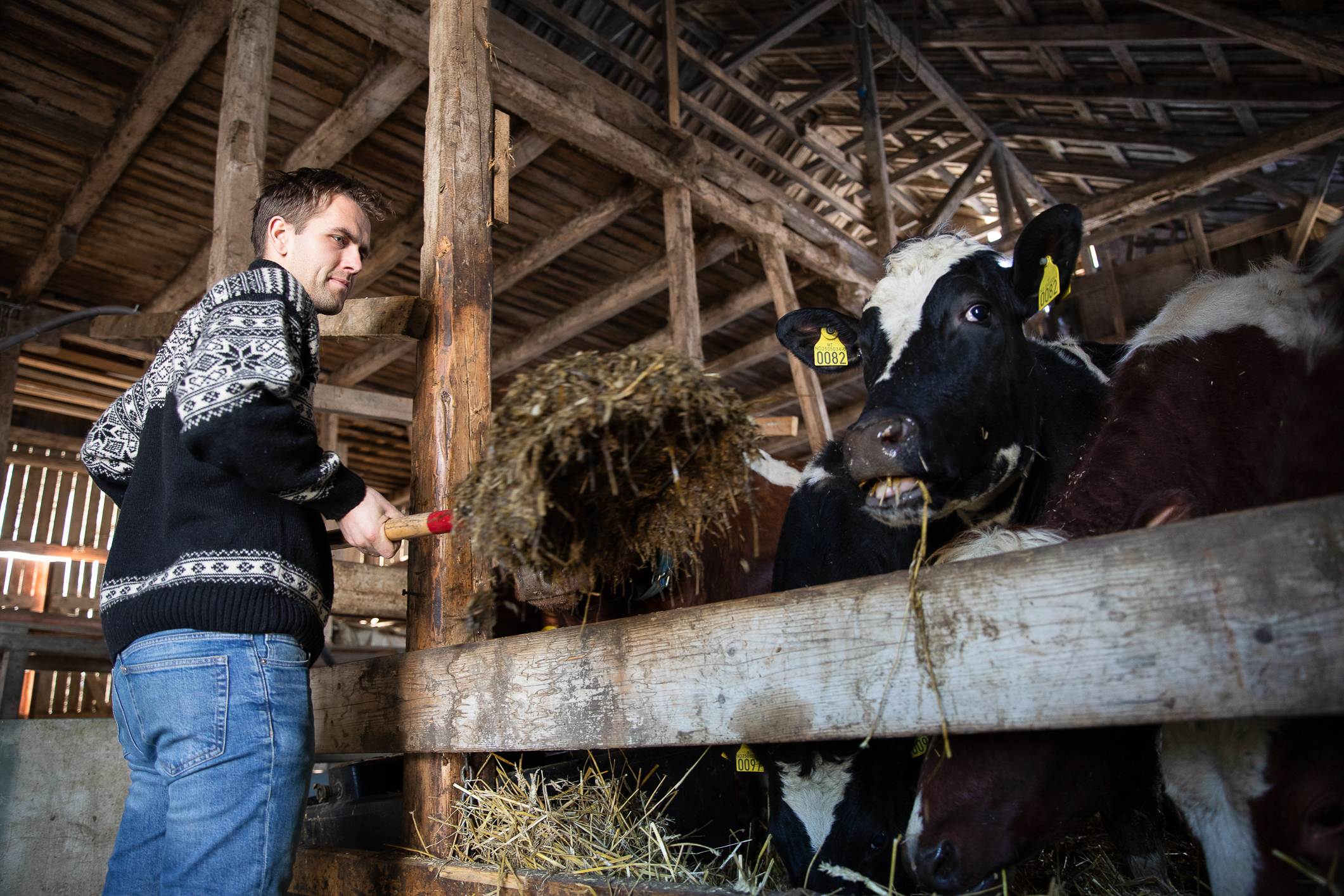 Pastor Bonde Hektner 8 Bonde Hektner