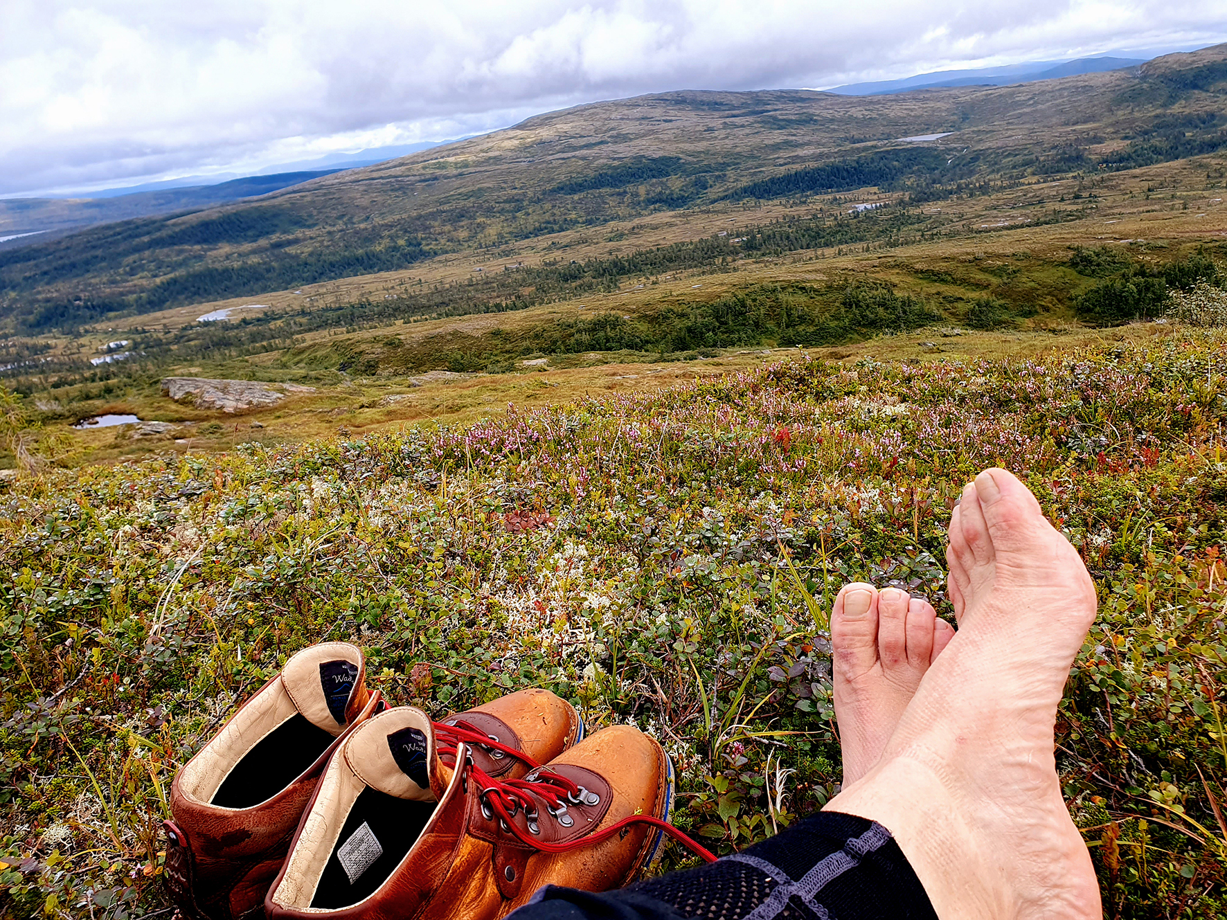 Vidder, lyng og skog. Bare føtter hviler i lyngen og matpause ved et lite vann.