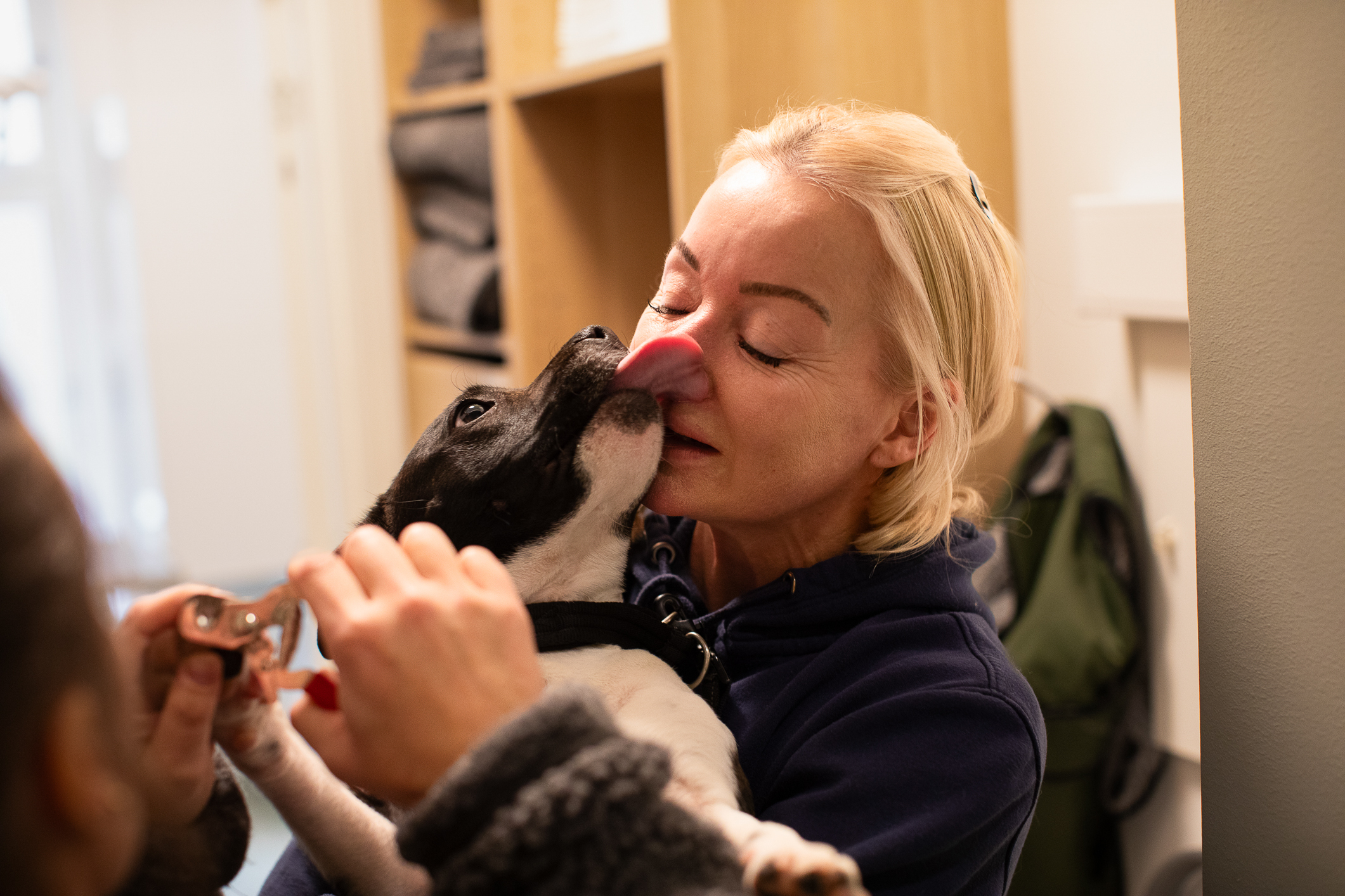 En ung kvinne med lyst hår holder en sort og hvit hun. Hun klapper hunden mens den slikker henne i ansiktet.