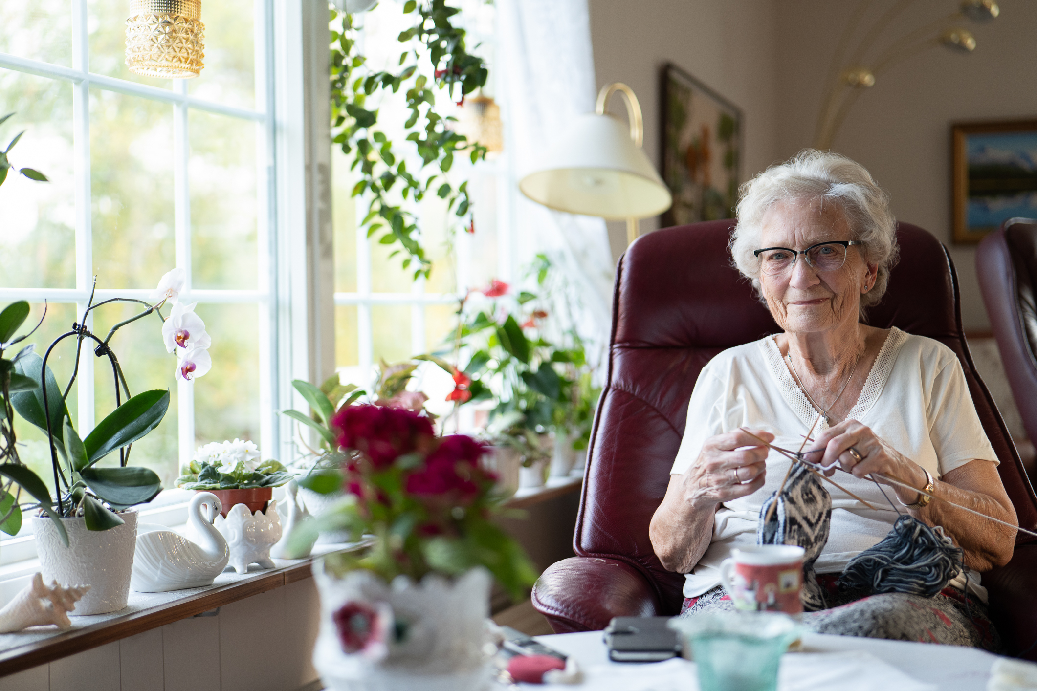 Eldre kvinne med hvitt hår og briller sitter og strikker en ullsokk med mønster. Hun sitter i en burgunderrød godstol i vinduet. Rundt henne er det vakre stueplanter