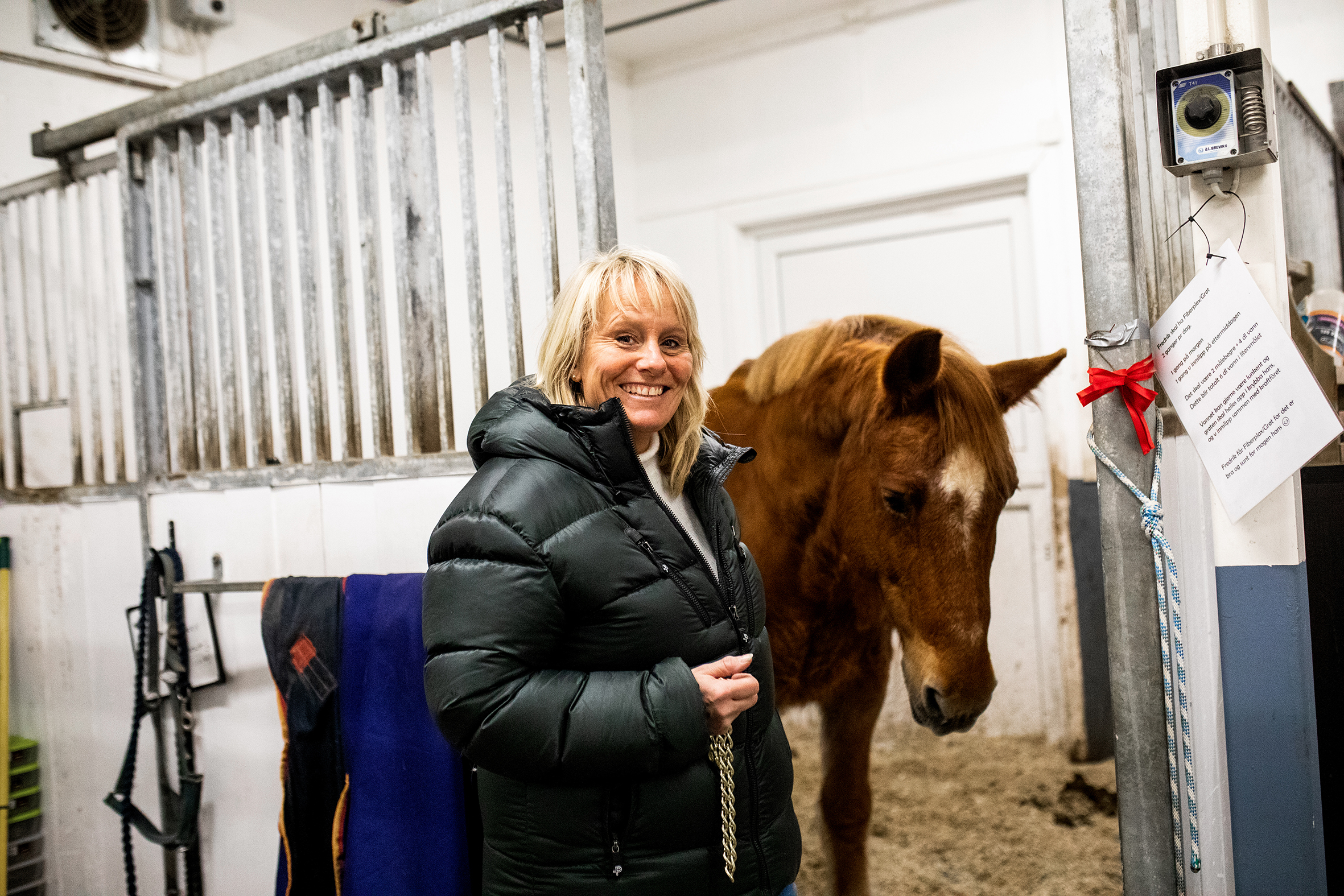 Fire bilder viser det rike dyrelivet på Soldammen. Kaniner, katt og hest er representert på bildene.