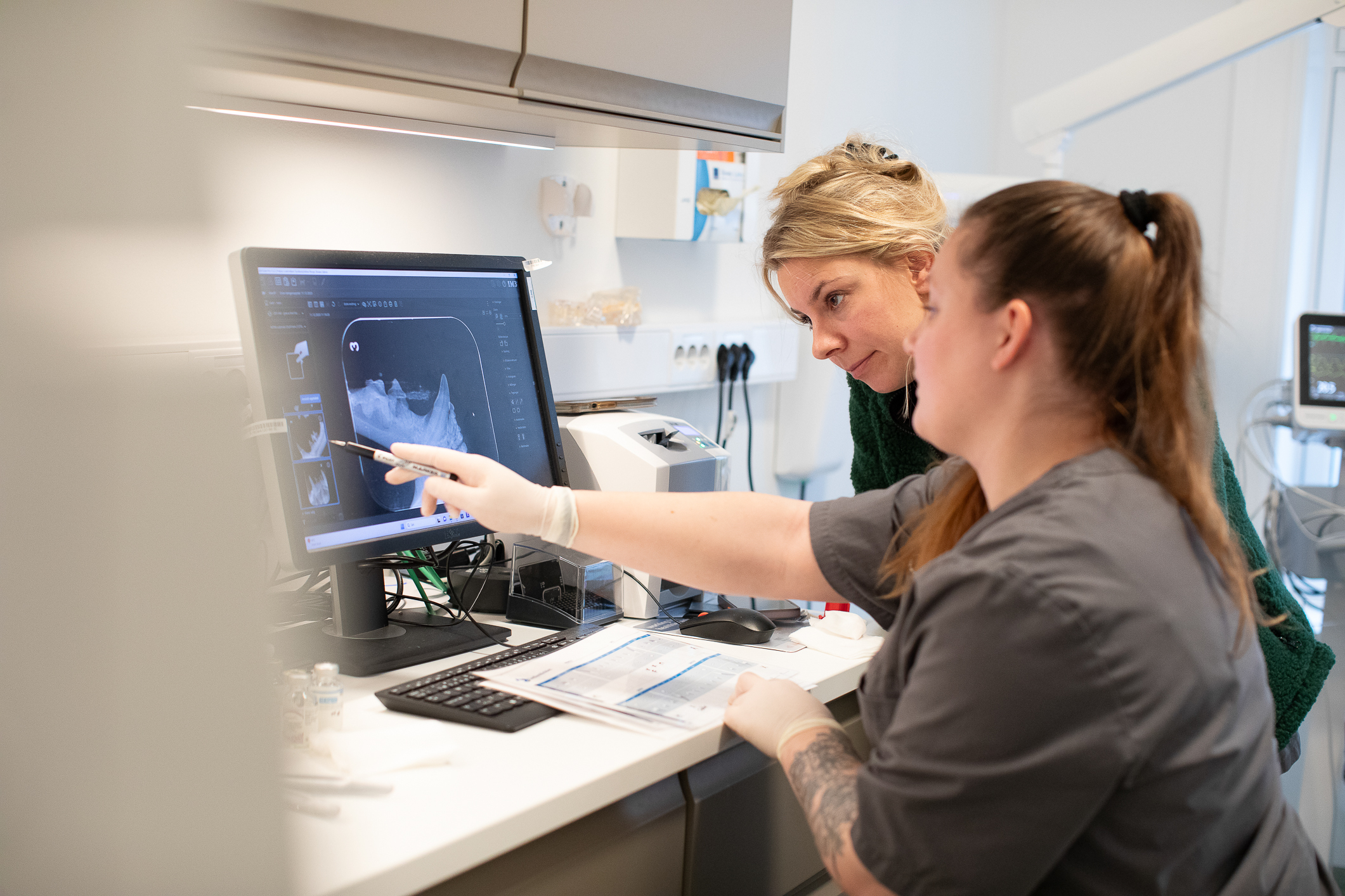 Bengalkatt på skuldrene til en mann som har svart hettegenser med hetten på hodet.