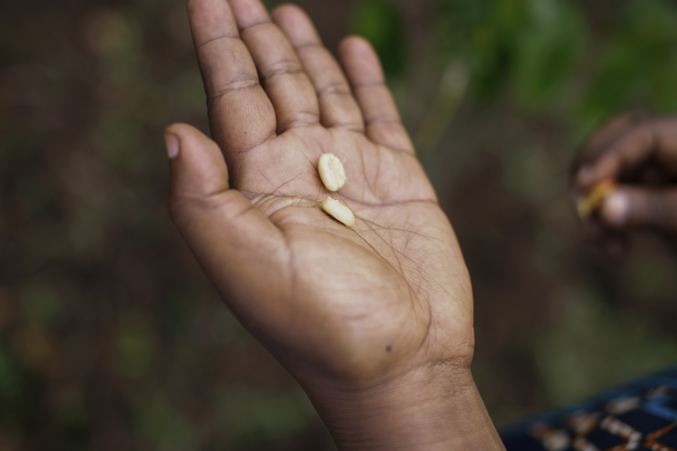 Bilde til venstre viser frø som ligger i en åpen hånd. Til høyre ser vi Monica. Hun har på seg en blomstrete kjole og smiler.