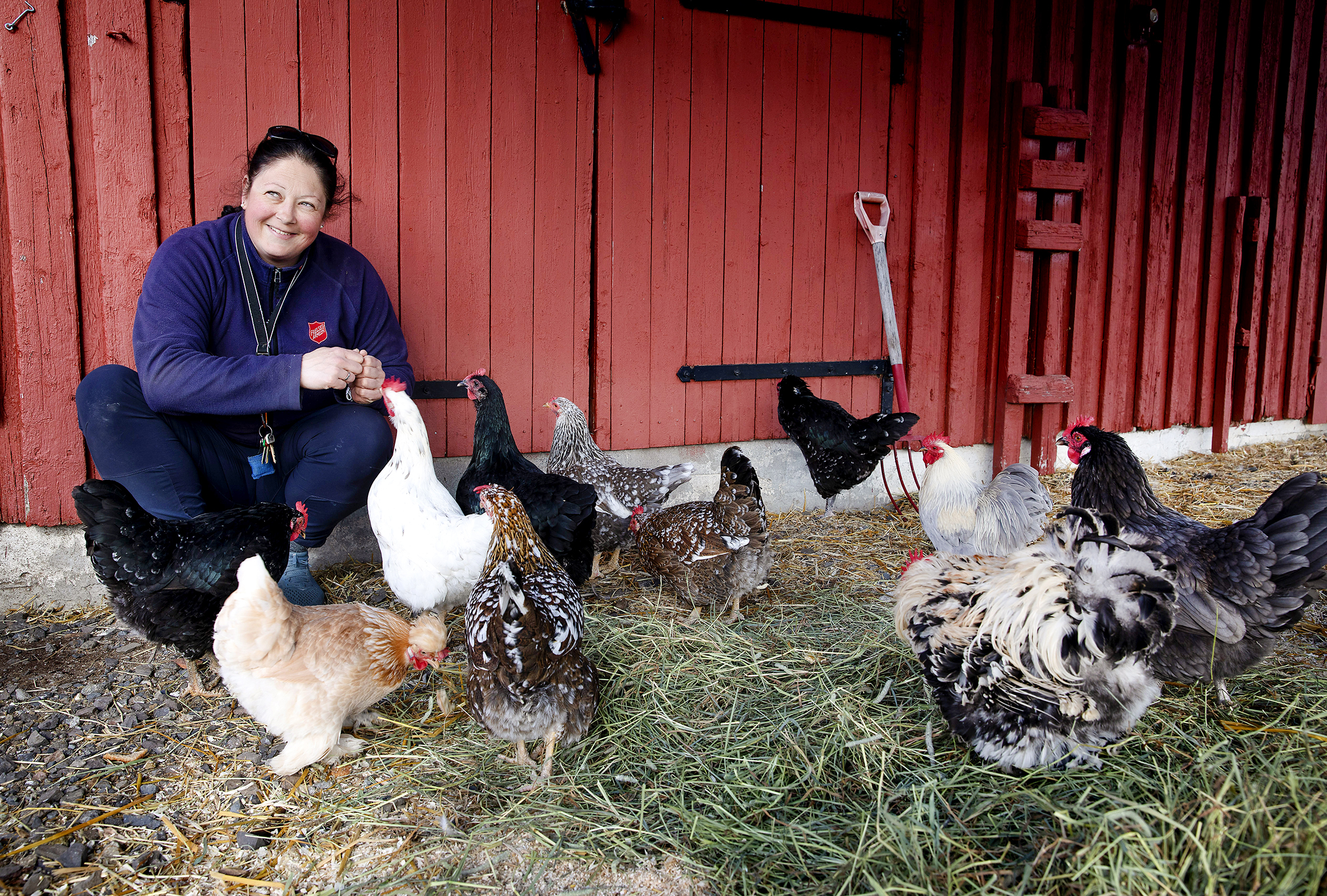 Lena Henriksen, hesteansvarlig sykepleier på Behandlingstunet sitter sammen med hønene på gården
