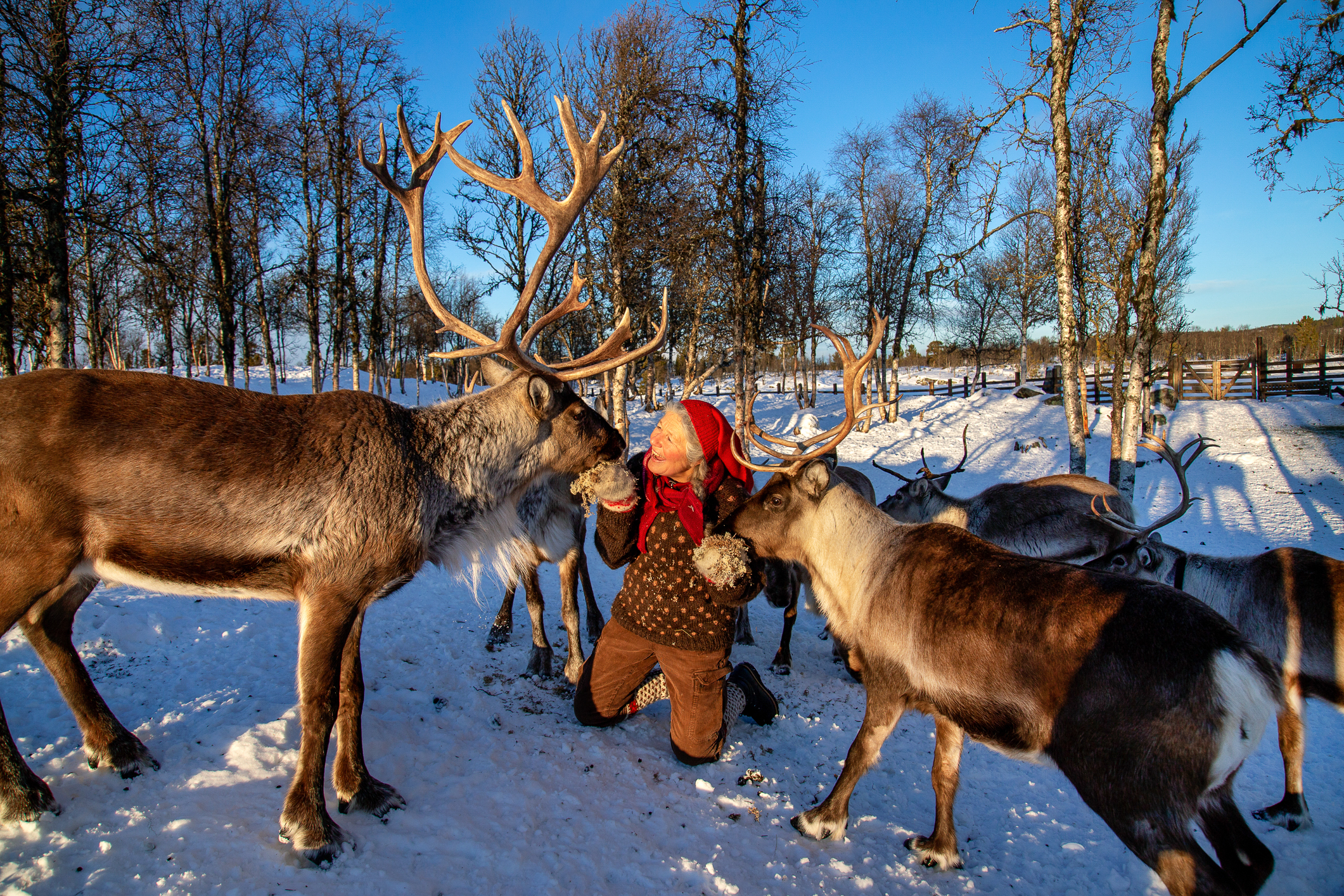 Langedrag HRN 5224 beh Jul På Langedrag