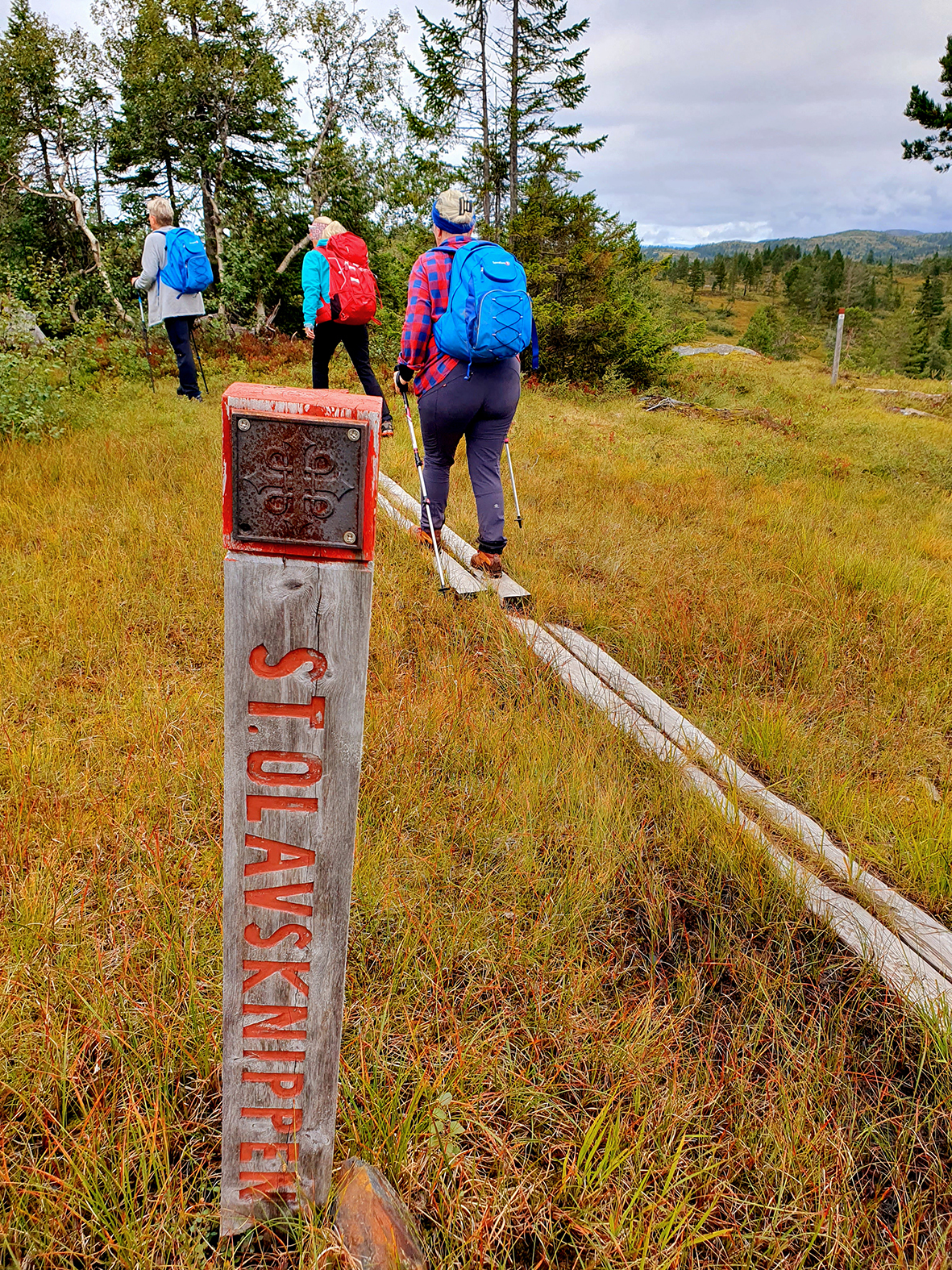Gruppen følger stien over myr og fjell