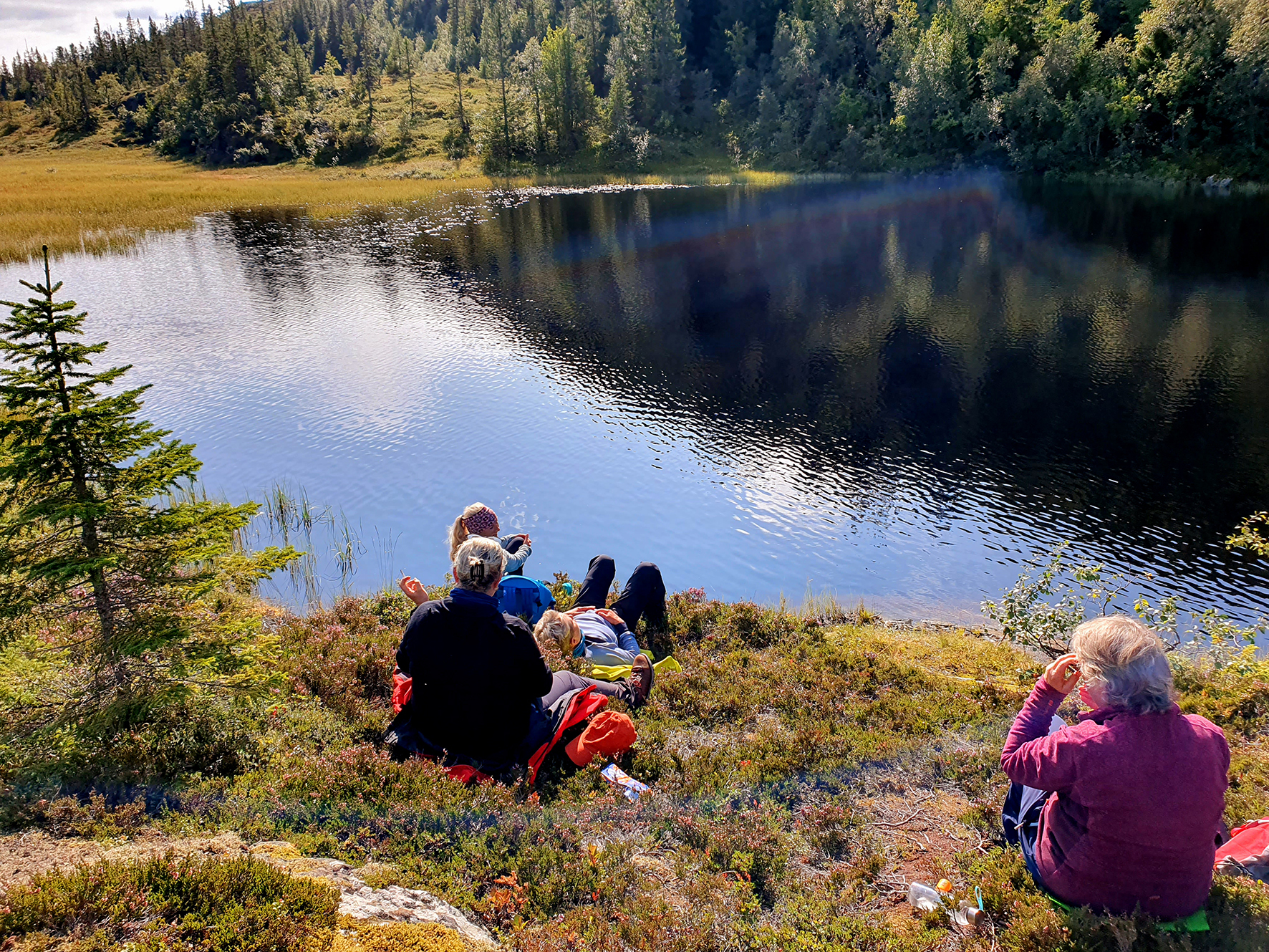 Vidder, lyng og skog. Bare føtter hviler i lyngen og matpause ved et lite vann.