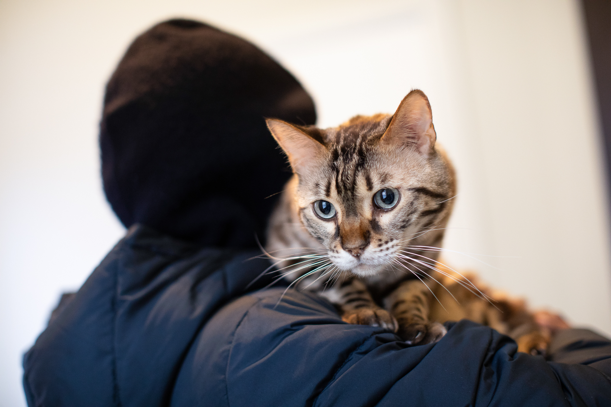 To kvinner ser på en skjerm. Den ene peker med plasthansker på en tann på et røntgenbilde. Hun har brun hestehale  med langt hår og en blå overdel. Den andre kvinnen her en mørkere blå overdel og lyst, oppsatt hår.