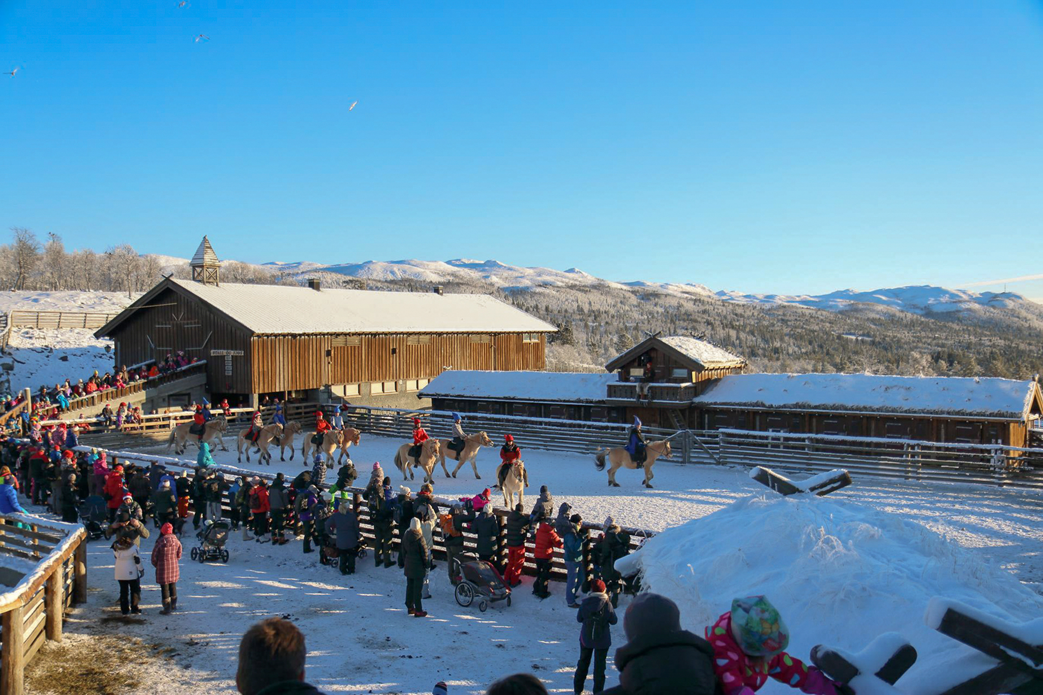 Tn IMG 7261 beh Jul På Langedrag