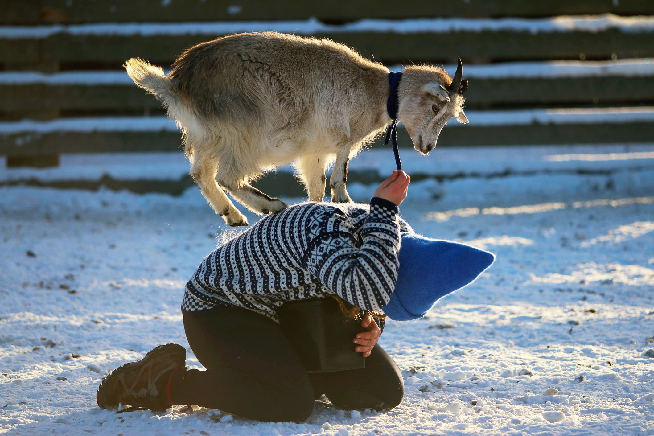 Tn IMG 7267 beh Jul På Langedrag