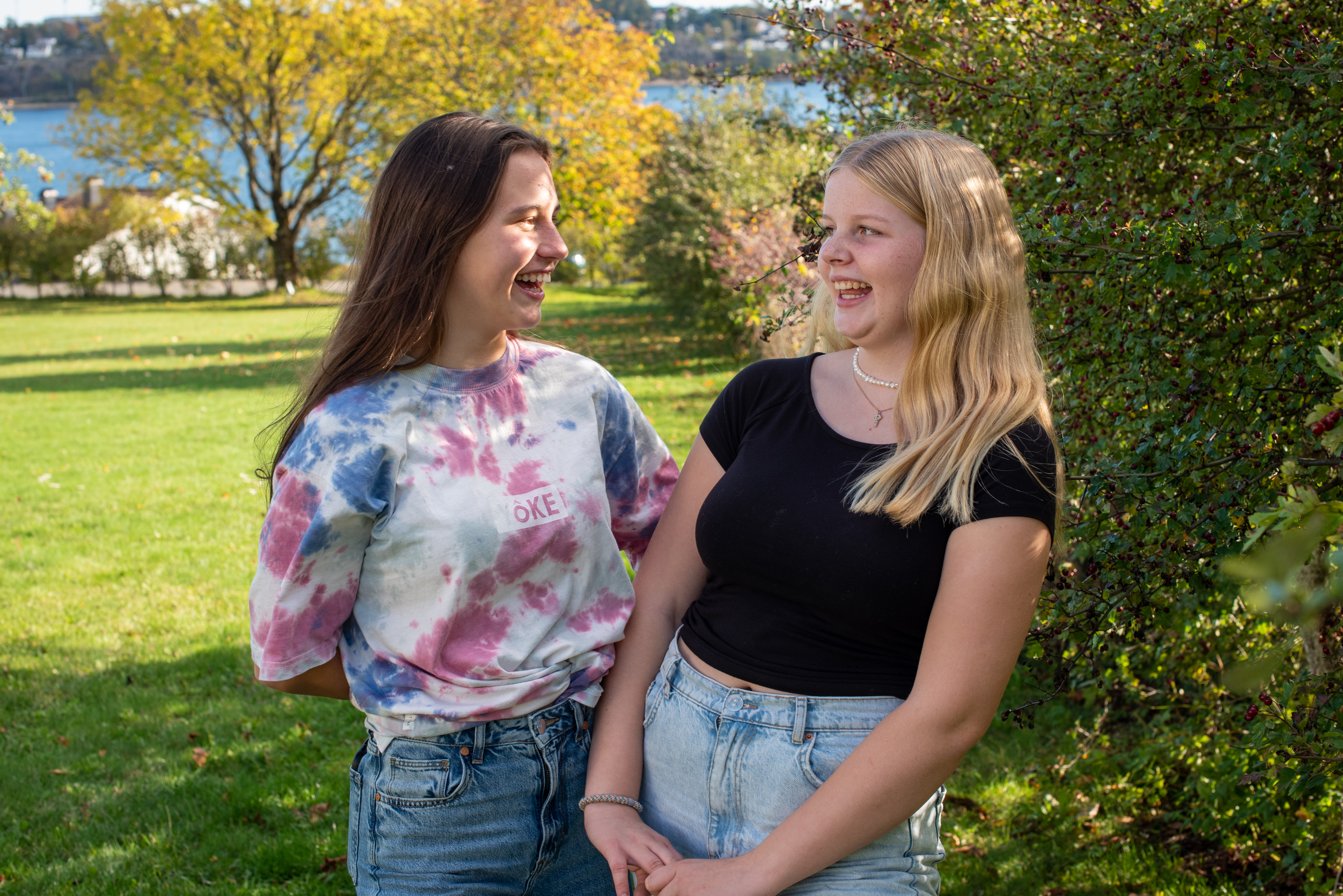 Microsoft Teams image 16