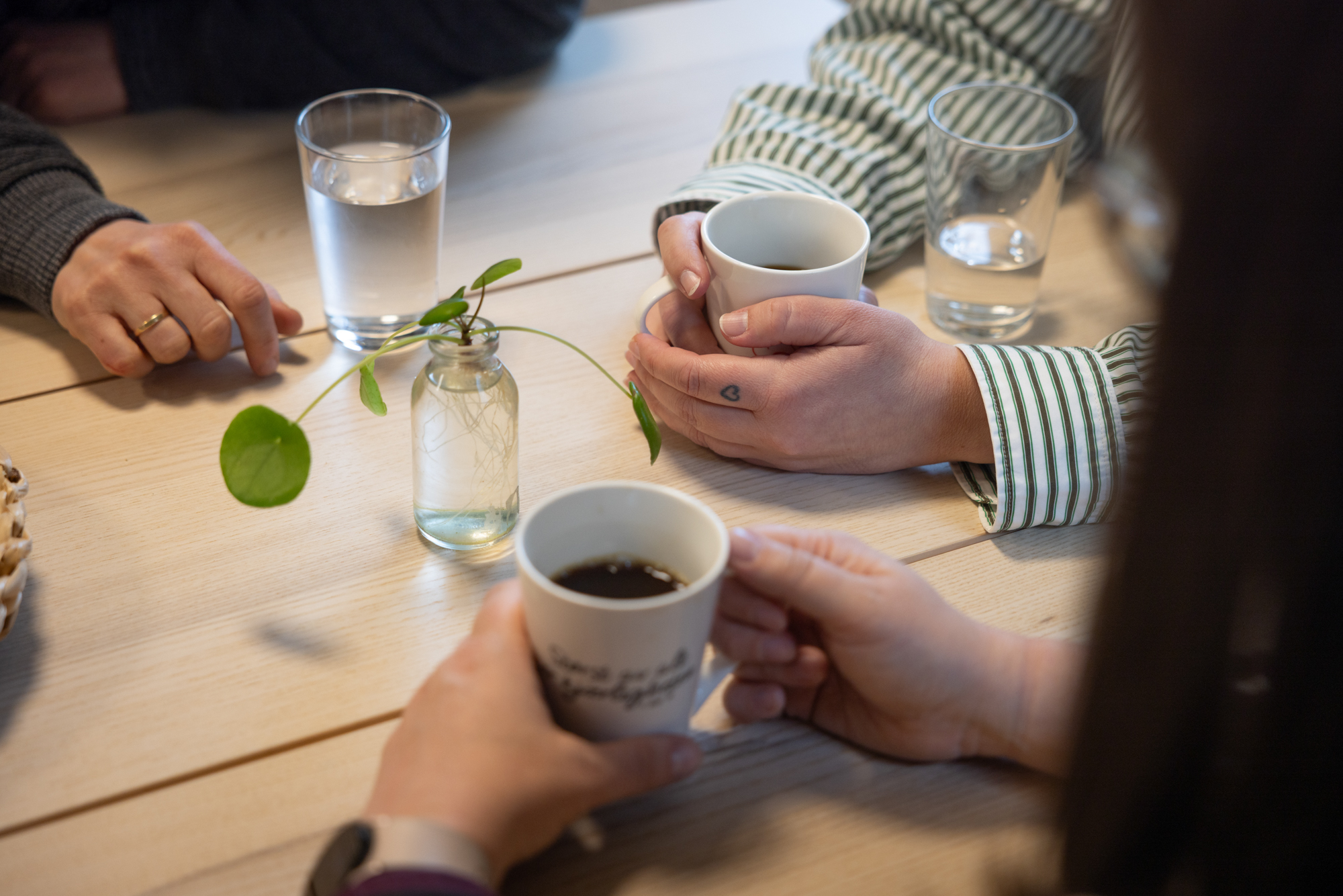 Foto: Nærbilde av hendene til tre kvinner som sitter rundt et bord. To av dem holder rundt en kaffekopp, den tredje har en hånd på bordet ved siden av et vannglass. Midt på bordet står en liten vase med grønne stiklinger.