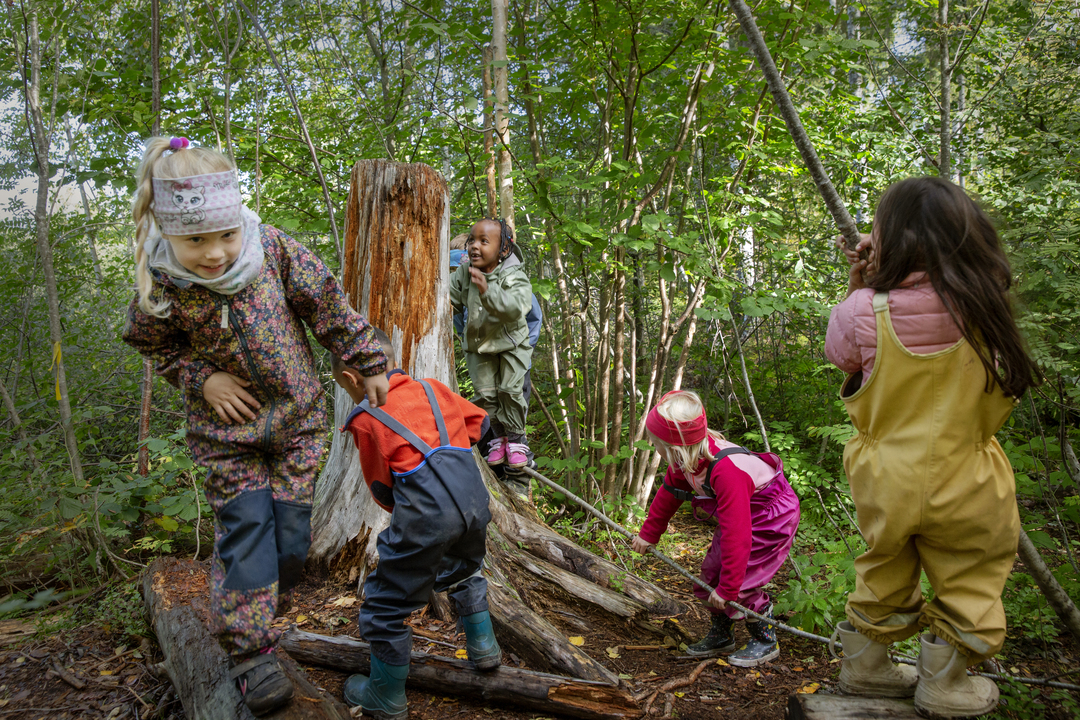 Foto: To bilder etter hverandre der det første viser en jente som henger i et tau og en annen jente som ler ved siden av henne. Det andre bildet er av de samme to jentene og tre andre barn som løper rundt en gammel, høy trestubbe.