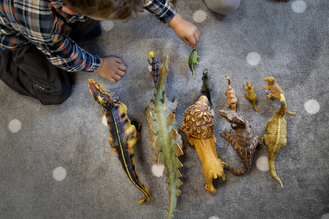 Foto: To bilder etter hverandre, der det første viser tre jenter i prinsessekjoler og det andre viser en gutt som leker med oppstilte dinosaurer.