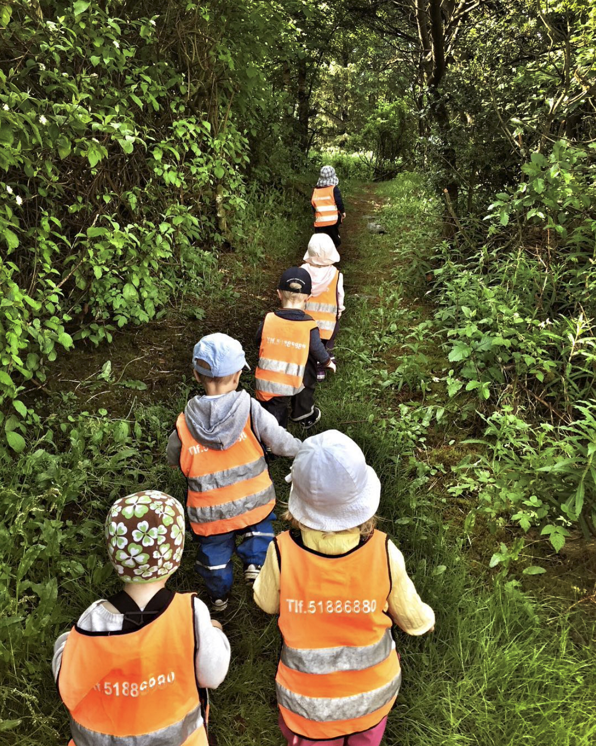Foto: Ryggen til seks barnehagebarn som går innover en sti i et grøntområde med trær og busker.