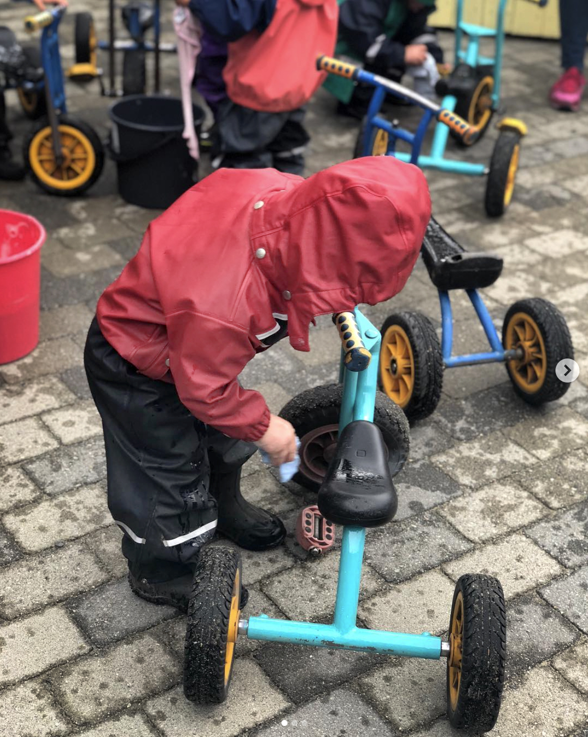 Foto: To bilder etter hverandre, der det første viser barn som ser på høner gjennom et nettinggjerde, og den andre av en gutt ved en trehjulssykkelen.