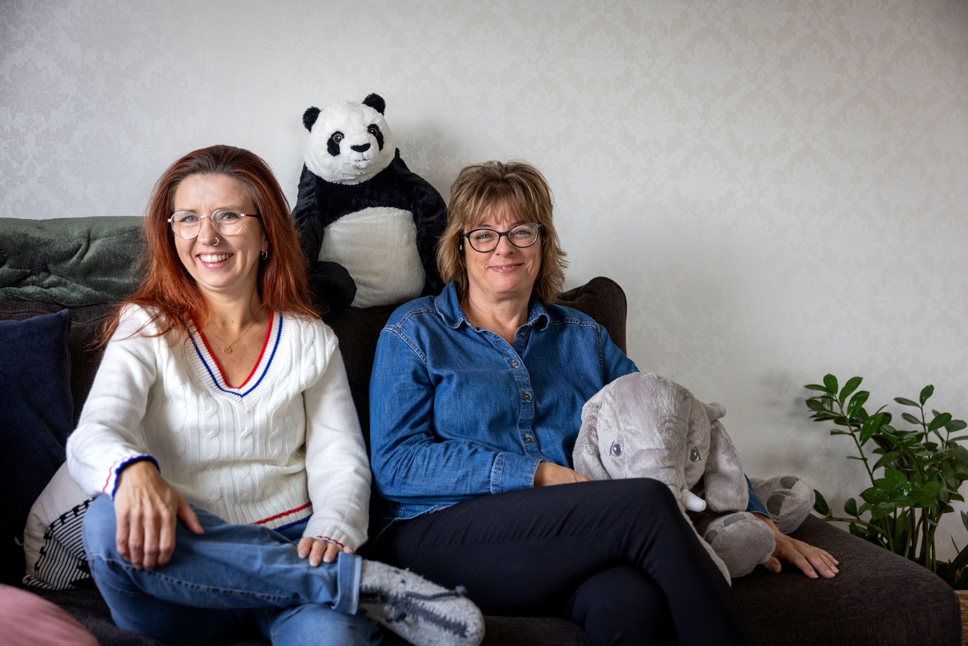 Diverse bilder inne på Bjørkhagen.