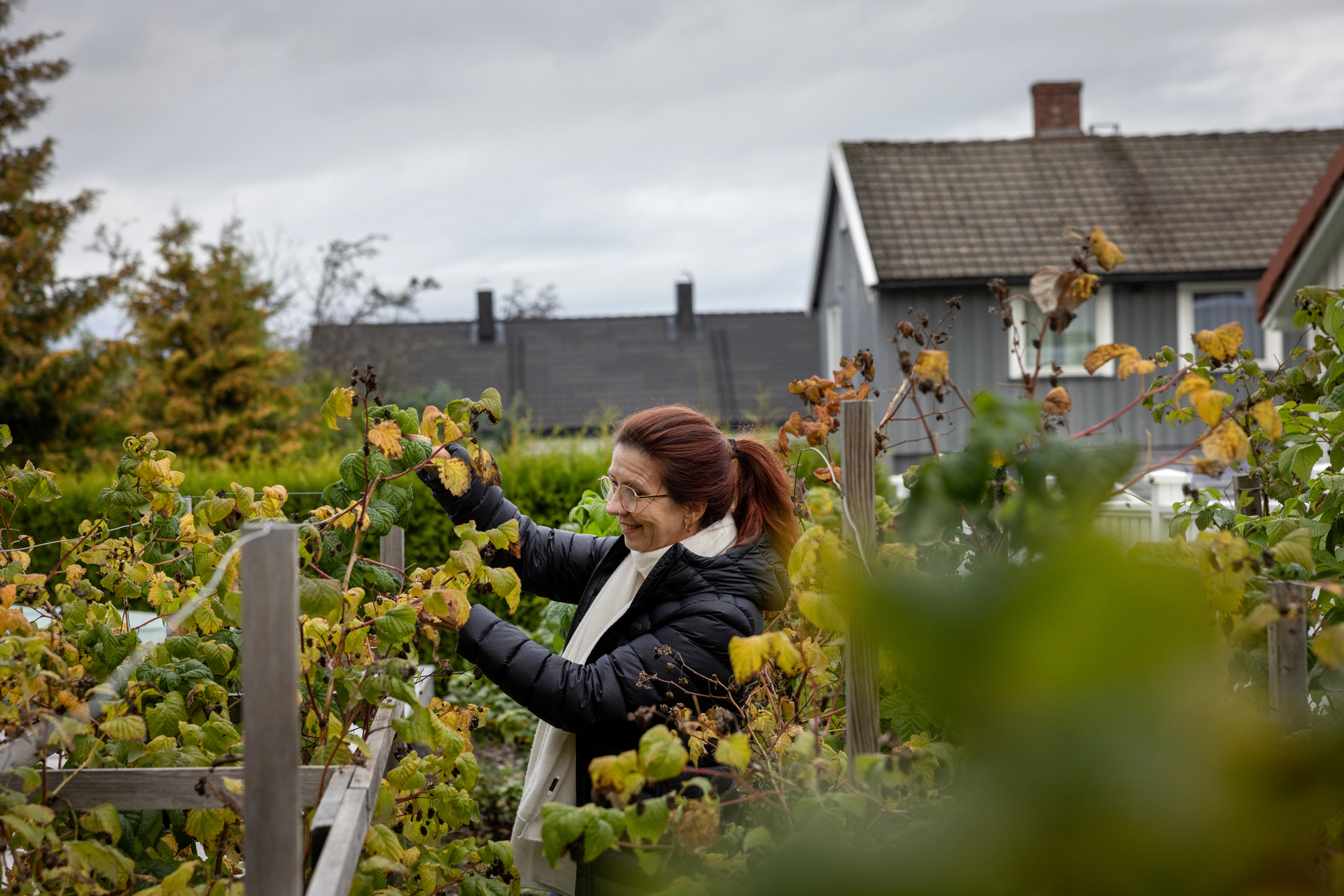 Foto: Bilder av hus og hage.