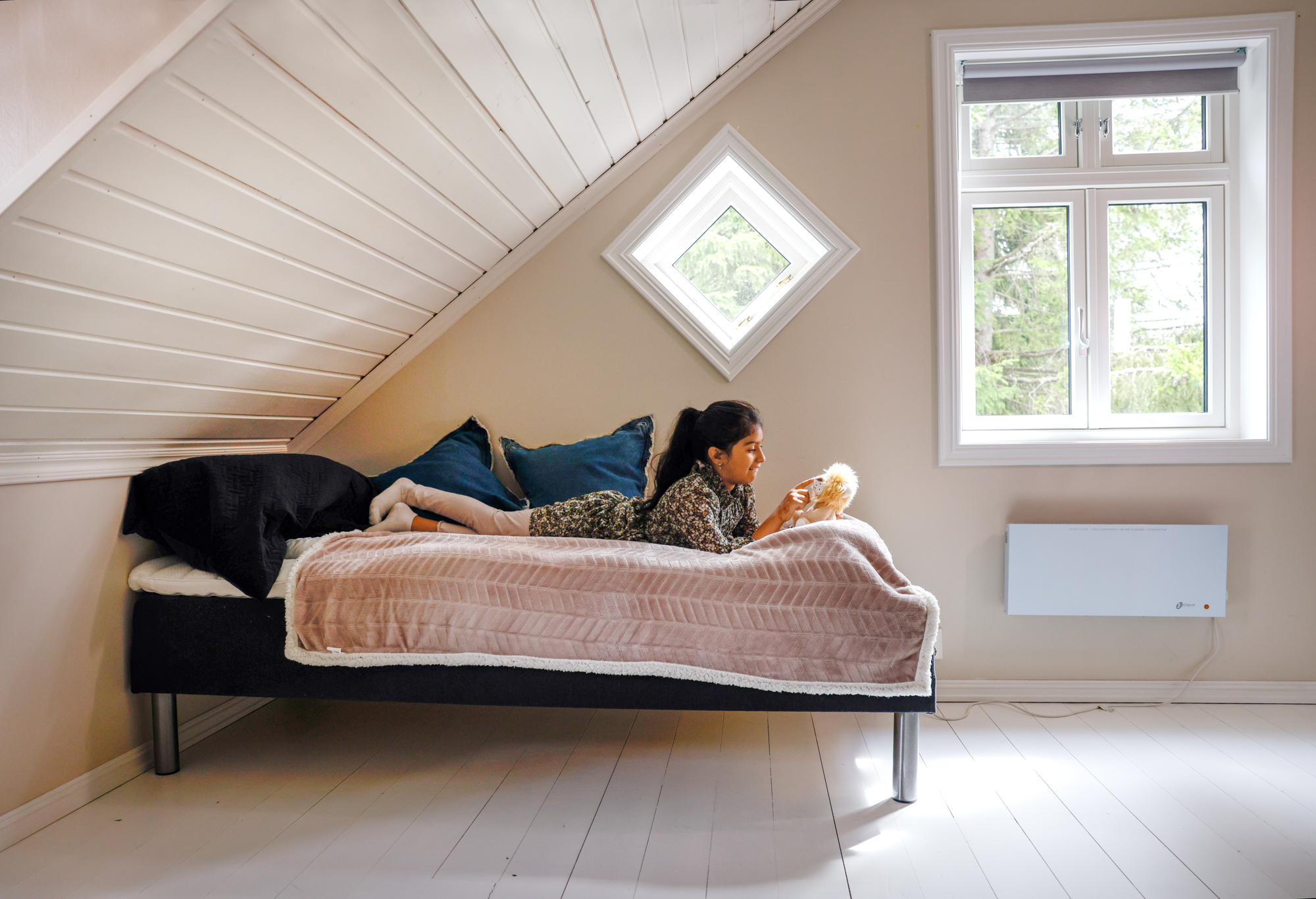 Diverse bilder inne i