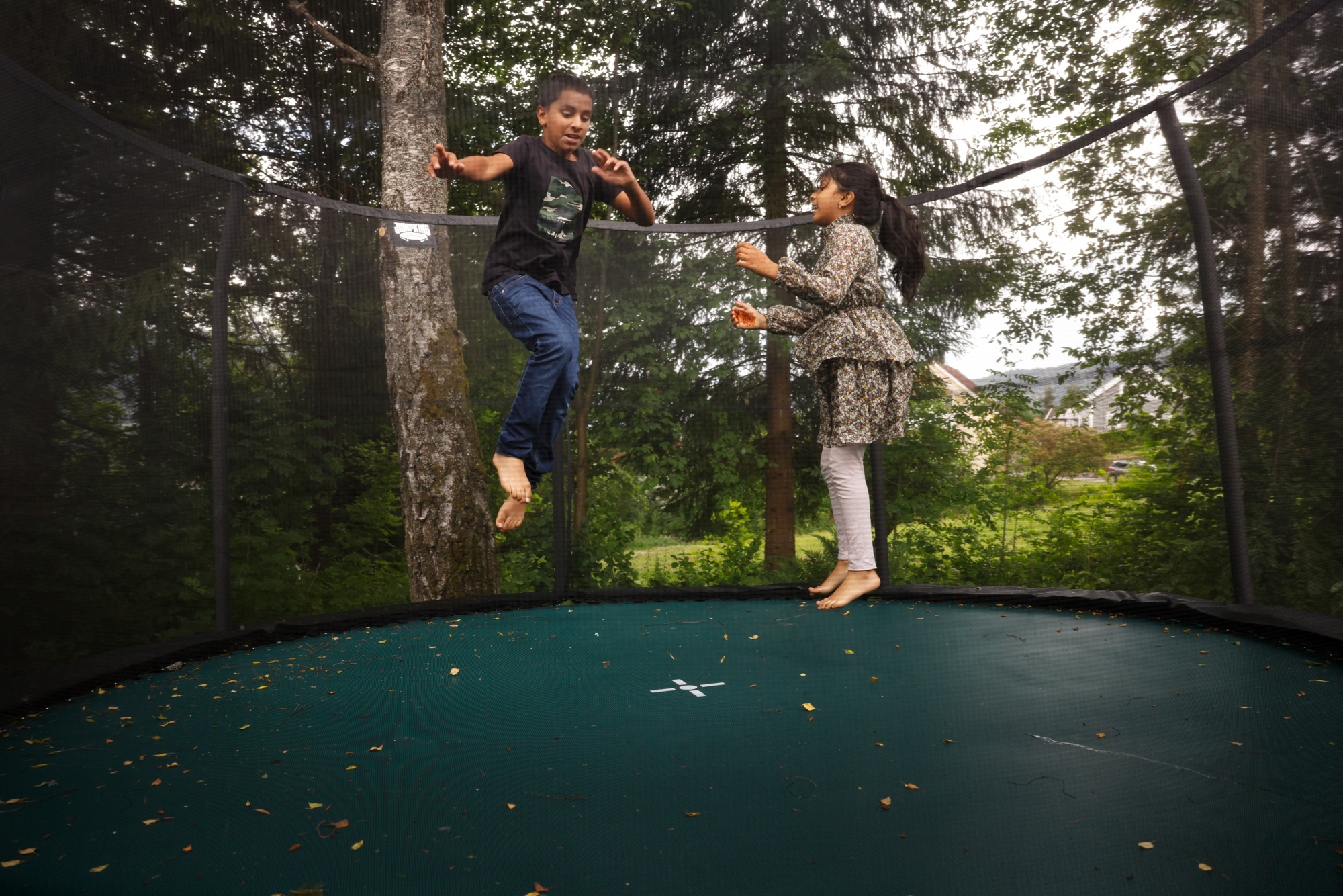 Bilder av hage og hus Skogtunet