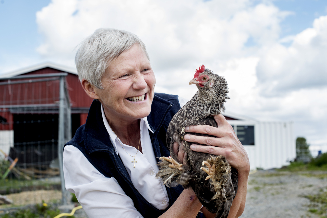 27 05 2015 Fetsund Reportasje fra Behandlingstunet Fetsund Pasientene har eget rom og har hver dag oppgaver ut ifra hvilken gruppe de er plassert i Innegruppe dyregruppe drift ute fjos Dette sarlig dyrekonta