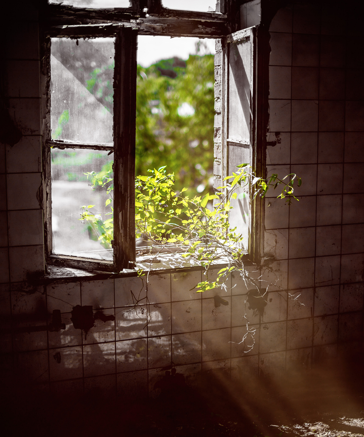 diverse bilder som illustrerer menneskehandel-situasjoner: i oppvasken, bilvask, lager, et åpent vindu som signaliserer rømning.