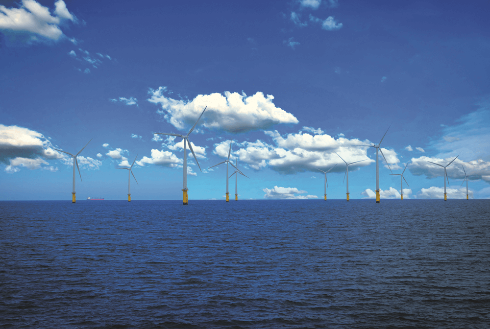 Haskoning case study web tpng test