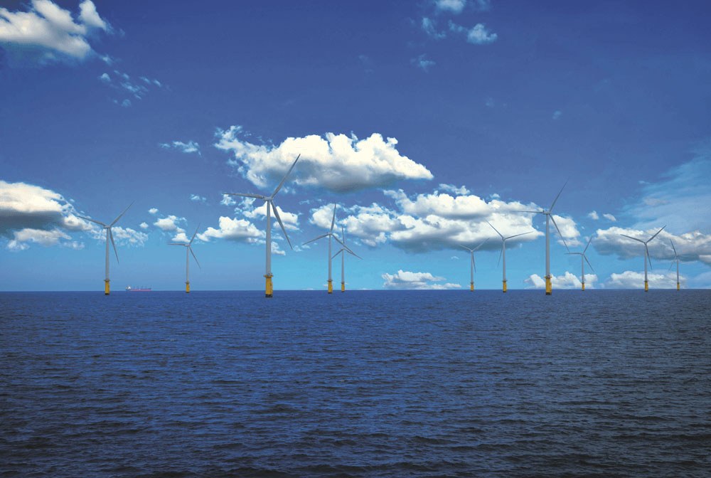 Haskoning case study