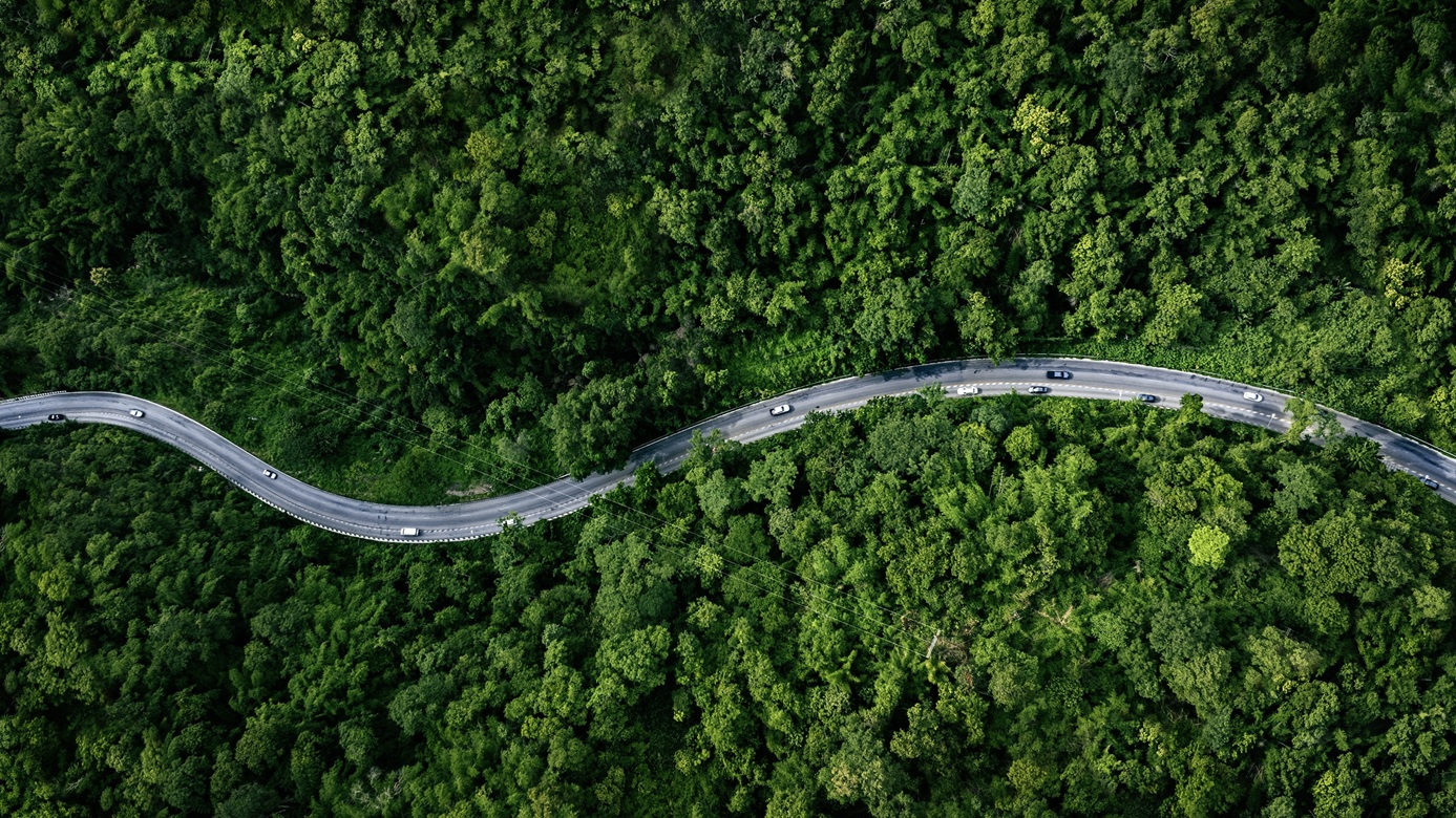 Net Zero Forest Road