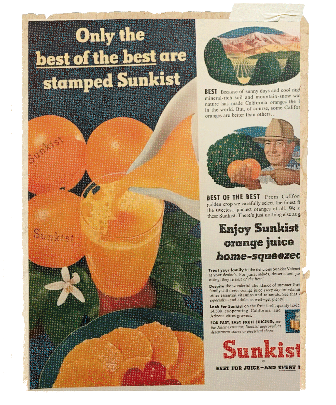 About Us | Sunkist Growers