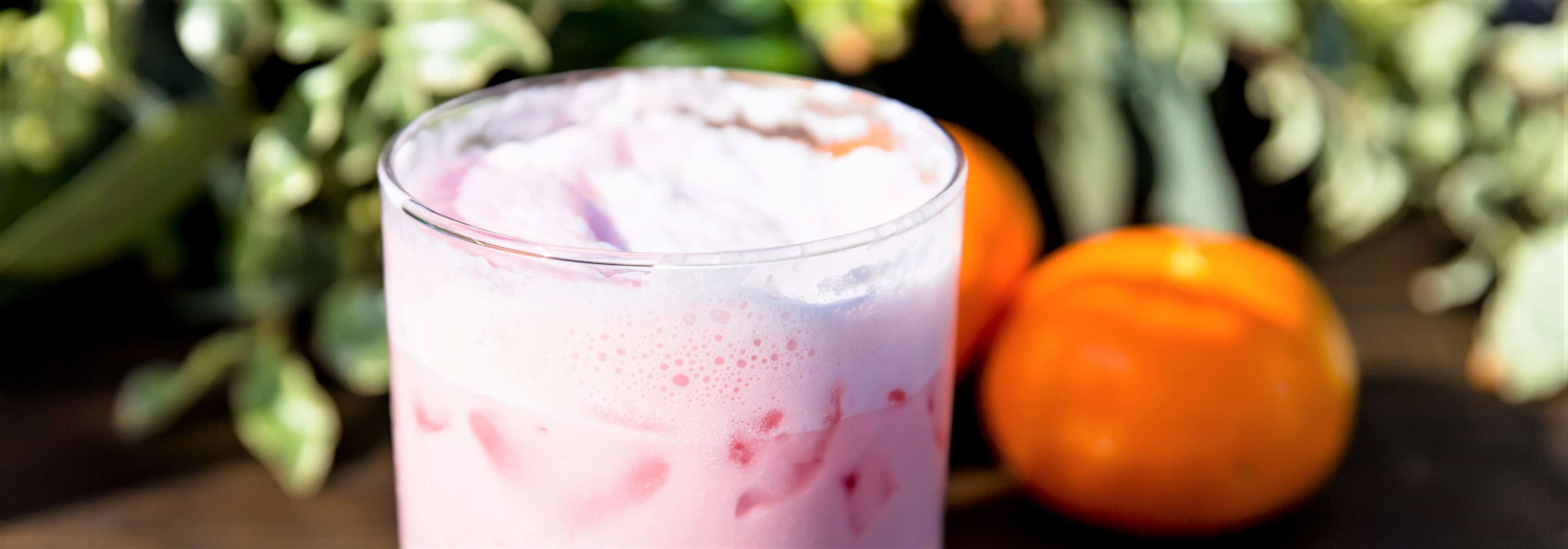 Blood Orange Cream Soda