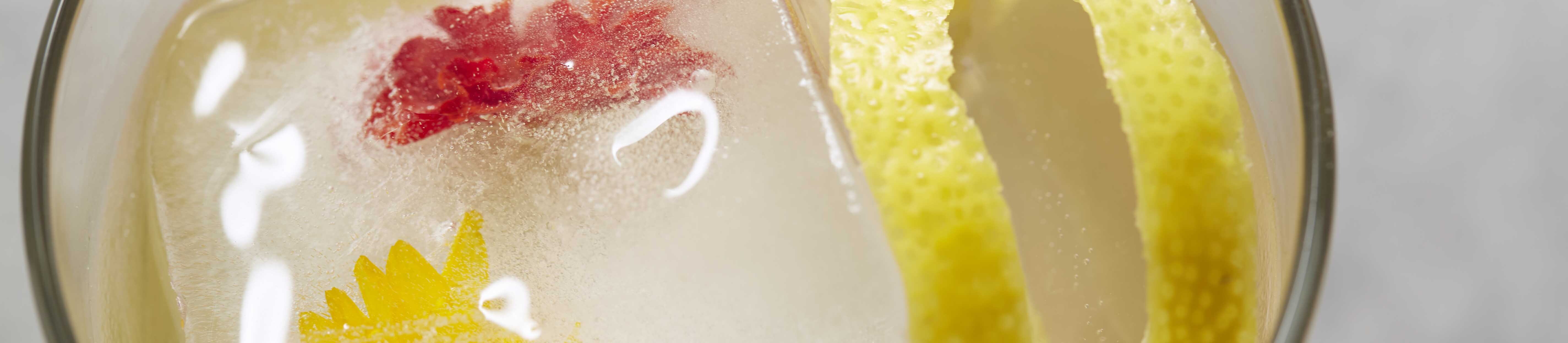 Sparkling Lemon Gin Punch