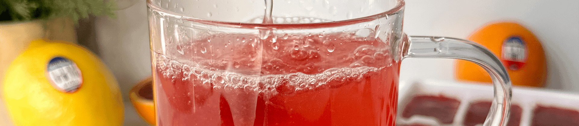 Wellness Tea Cubes