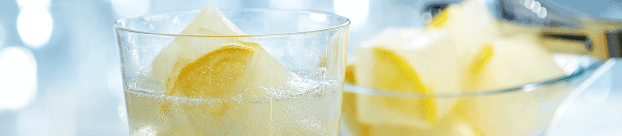 Honey Lemon Iced Sparkling Citrus Water