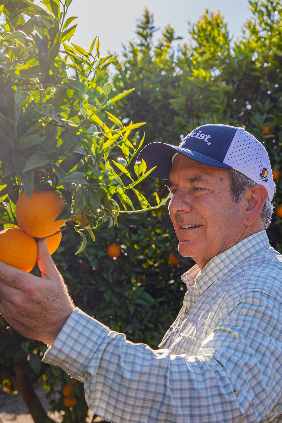 Curt Holmes: Growing Citrus, Community, and a Legacy of Quality
