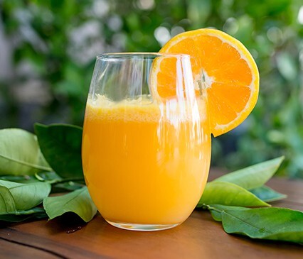 SPRITZER CAM GỪNG