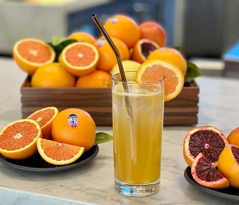 Citrus Temperance Fiz Mocktail