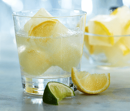 Honey Lemon Iced Sparkling Citrus Water