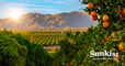 Sunkist Growers